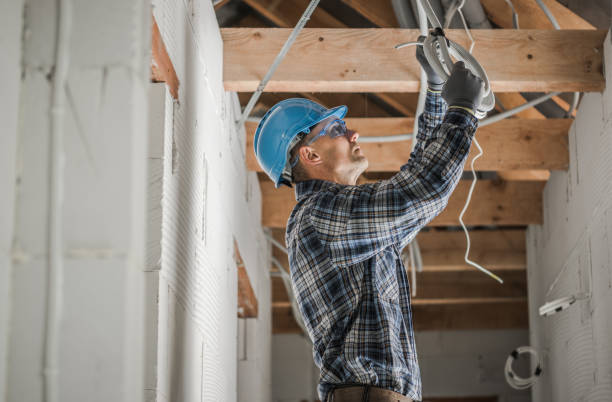 Best Electrician Near Me  in Portland, MI