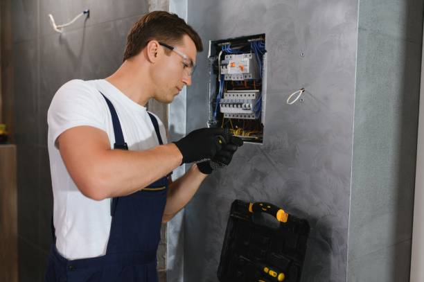 Best Electrical Rewiring Services  in Portland, MI