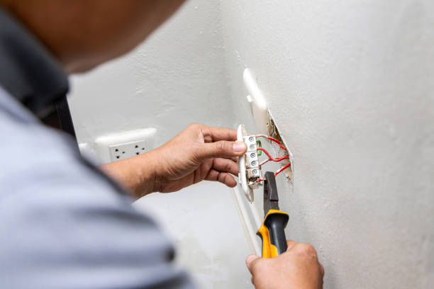 Best Electrical Upgrades for Homes  in Portland, MI