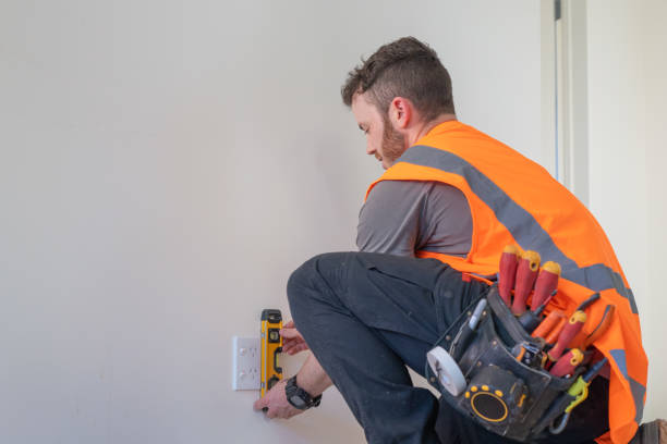 Best Electric Panel Repair  in Portland, MI